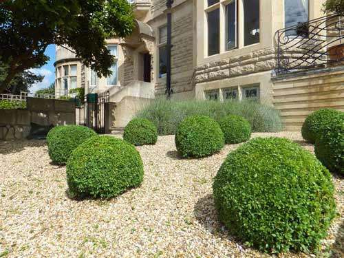 View of garden from right hand side